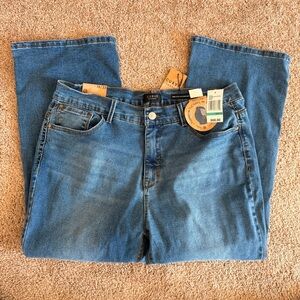 Curve Appeal Blue Jeans